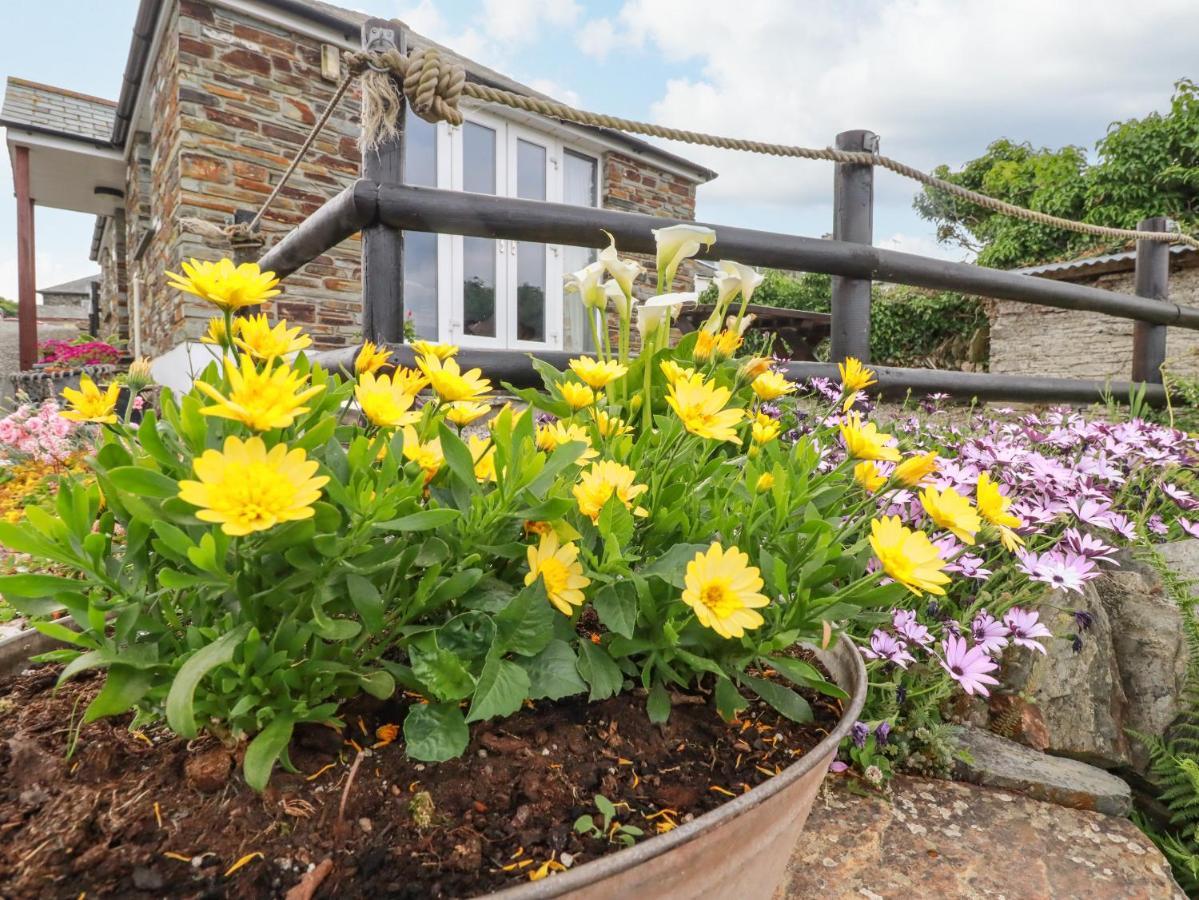 Sunset Cottage Tintagel Exterior photo